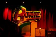 (2) 060903_ql_bowie02.jpeg - 900 x 600