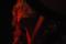 DSC_1676.JPG (0.109 MB)